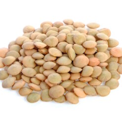 עדשים חומות