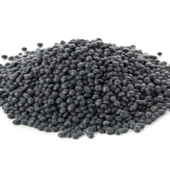 עדשים שחורות