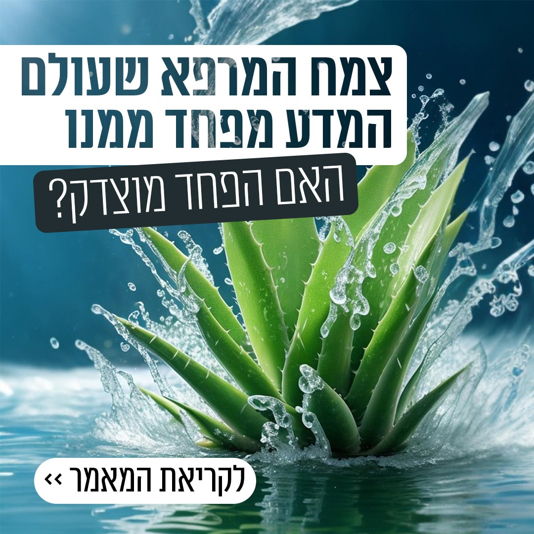 אלוורה - סקירה מדעית מקיפה על ה