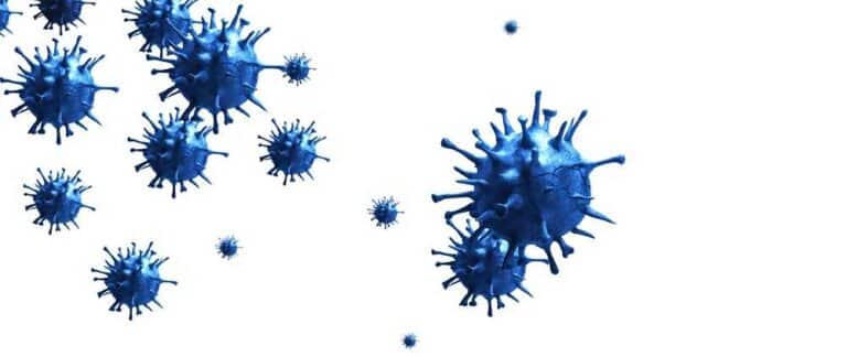 וירוס הקורונה - חלק ב' - בתמונה וירוסים בצבע כחול