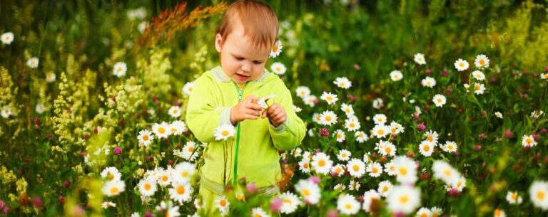 באיזה גיל באמת כדאי לשלוח את הילד למעון / משפחתון? - בתמונה פעוט בשדה פרחים