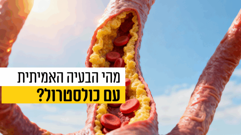 מהי הבעיה האמיתית שיוצר כולסטרול?